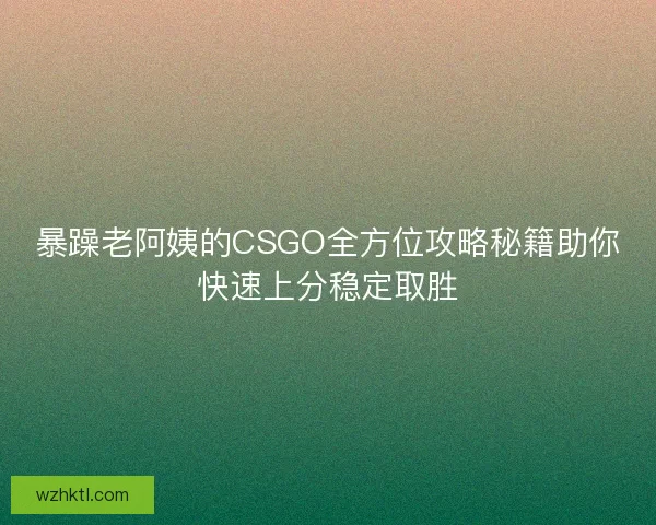 暴躁老阿姨的CSGO全方位攻略秘籍助你快速上分稳定取胜 暴躁老阿姨的CSGO全方位攻略秘籍助你快速上分稳定取胜