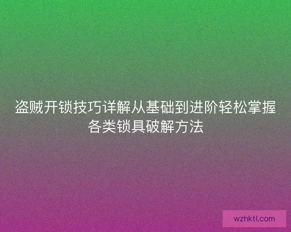 盗贼开锁技巧详解从基础到进阶轻松掌握各类锁具破解方法 盗贼开锁技巧详解从基础到进阶轻松掌握各类锁具破解方法