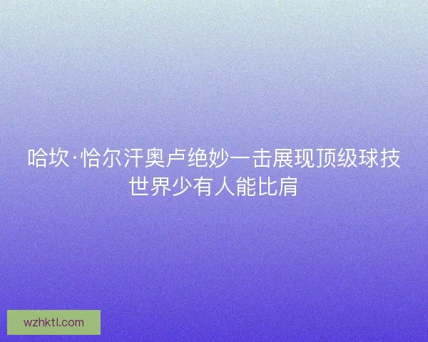 哈坎·恰尔汗奥卢绝妙一击展现顶级球技世界少有人能比肩 哈坎·恰尔汗奥卢绝妙一击展现顶级球技世界少有人能比肩
