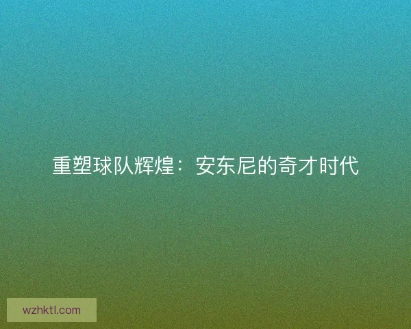 重塑球队辉煌：安东尼的奇才时代